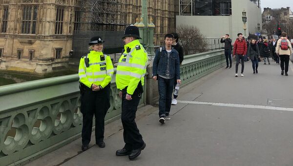 Полицейские на Вестминстерском мосту в годовщину трагических событий в Лондоне. Архивное фото