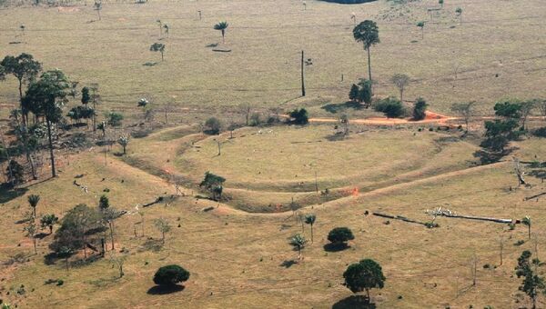 Останки поселений, найденных археологами в безлюдных лесах Амазонии