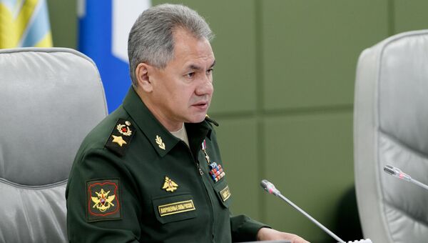Министр обороны генерал армии Сергей Шойгу. 2 апреля 2018