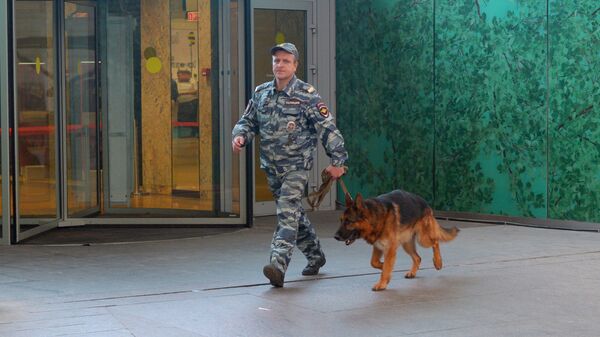 Кинолог с собакой в торгово-развлекательном комплексе Афимолл Сити в Москве