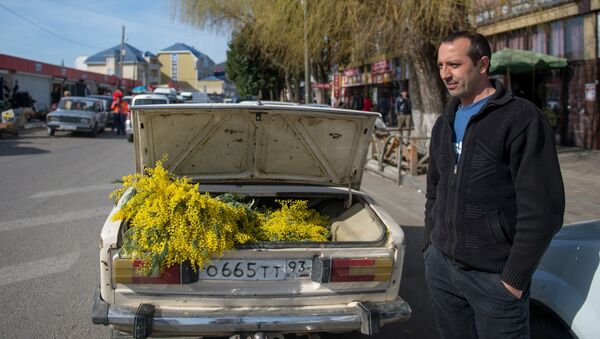 Оптовая продажа мимозы, привезенной из Абхазии, на рынке в селе Веселое Адлерского района. Архивное фото