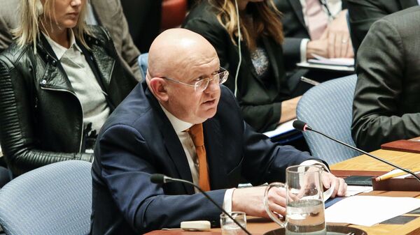 Постоянный представитель РФ при ООН Василий Небензя выступает на открытом заседании совета безопасности ООН. 5 апреля 2018