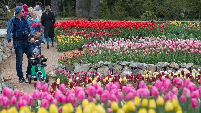 Парад тюльпанов в Никитском ботаническом саду