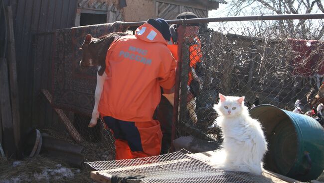 Работа по минимизации последствий паводка в Волгоградской области