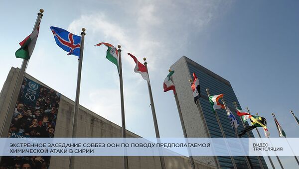LIVE: Экстренное заседание Совбез ООН по поводу предполагаемой химической атаки в Сирии