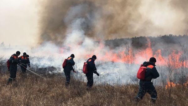 Сотрудники МЧС во время тушения очагов природных пожаров. Архивное фото