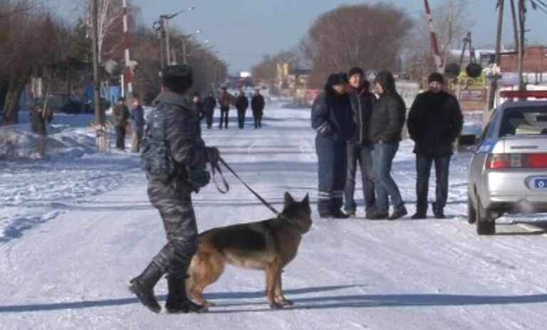 Сотрудник полиции с собакой дежурит у исправительной колонии №6 города Копейска Челябинской области Сотрудник полиции с собакой дежурит у исправительной колонии №6 города Копейска Челябинской области