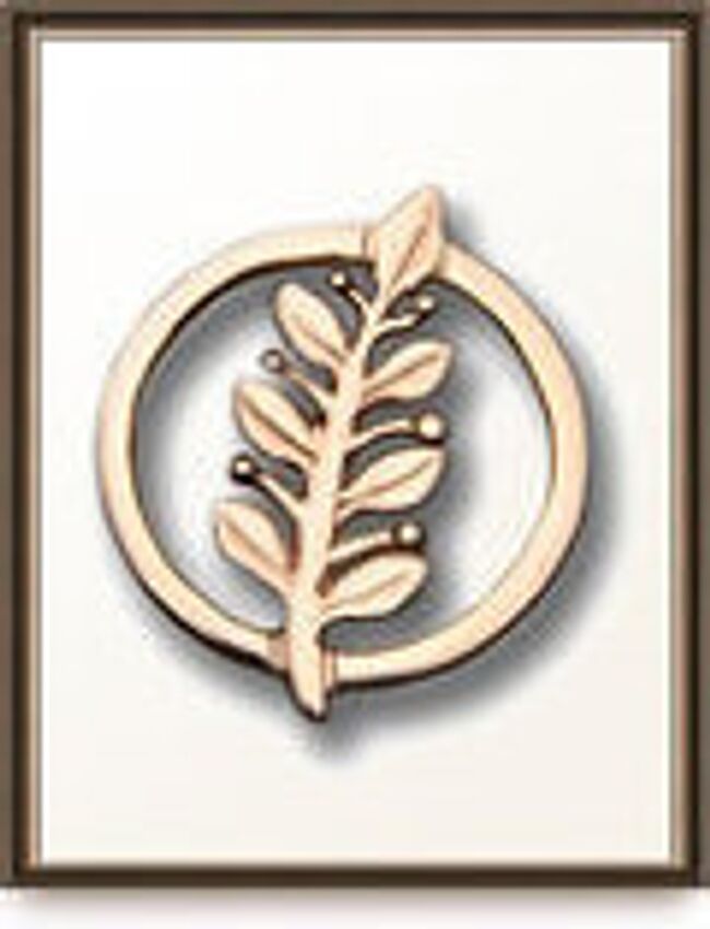 Вручение наград фонда Общественное Признание