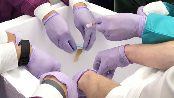Ученые подготавливают образцы спермы для отправки на МКС