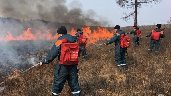 Огнеборцы Амурской области защищают населенные пункты от природных пожаров 