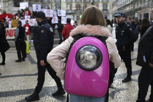 Девушка со своим питомцем наблюдает за демонстрацией в поддержку бывшего президента Бразилии Луиса Инасио Лулы да Силвы в Лиссабоне