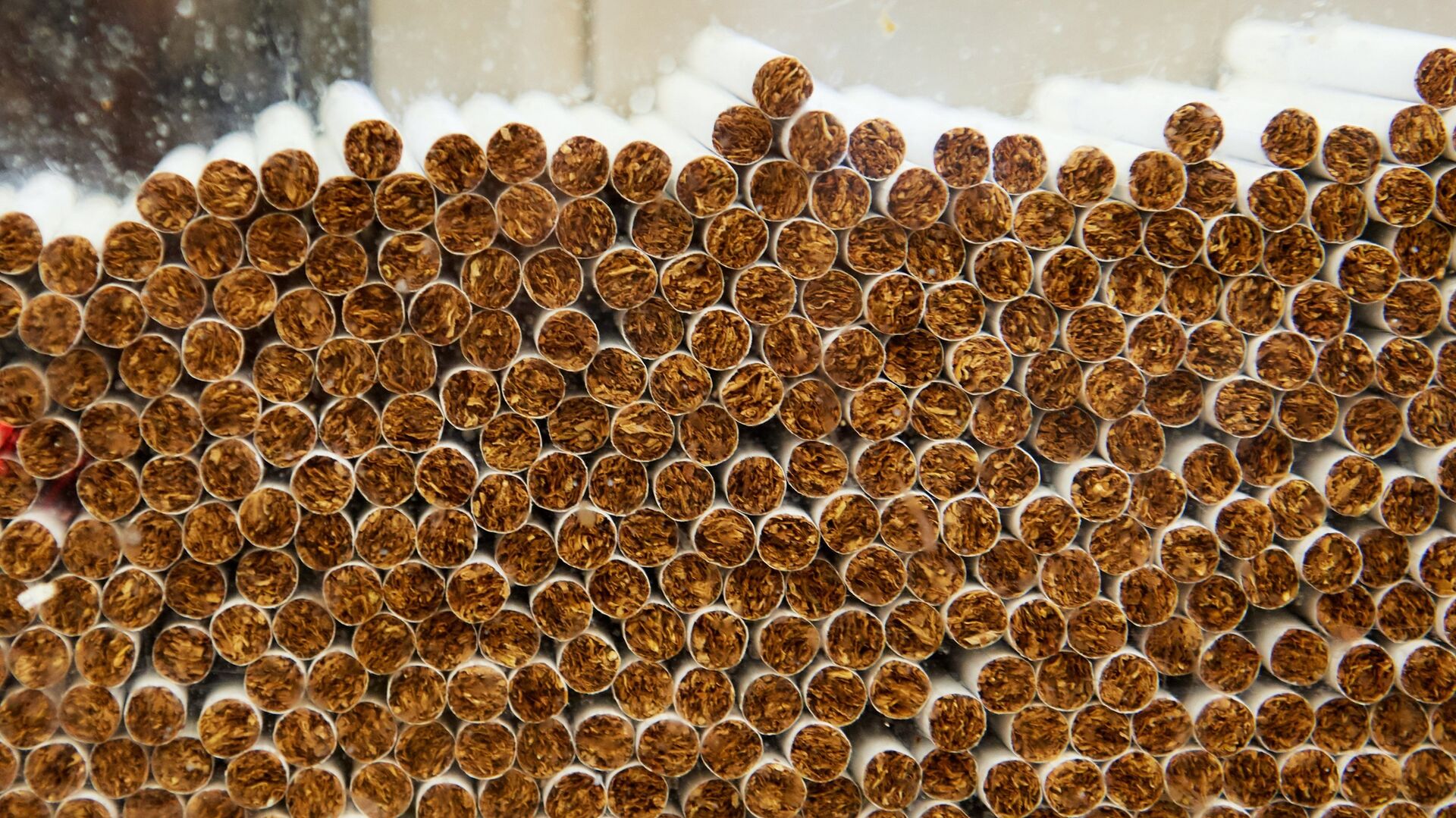 Производство сигарет на фабрике АО Филип Моррис Ижора в Ленинградской области - РИА Новости, 1920, 26.07.2021