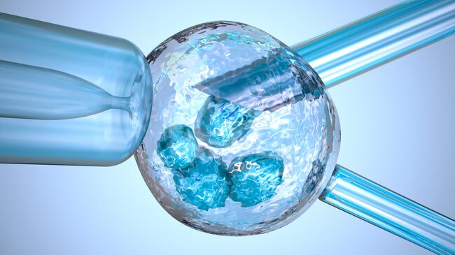 Искусственное оплодотворение