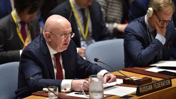Постпред РФ при ООН Василий Небензя на заседании Совета Безопасности ООН в Нью-Йорке. 14 апреля 2018