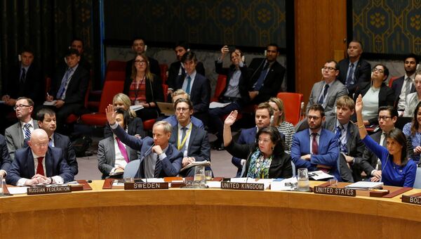 На заседании Совета Безопасности ООН в Нью-Йорке. 14 апреля 2018