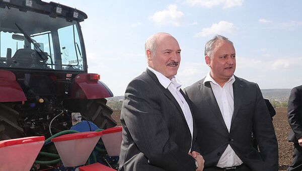 Президент Беларуси Александр Лукашенко и Президент Молдовы Игорь Додон на вспаханном поле. 19 апреля 2018