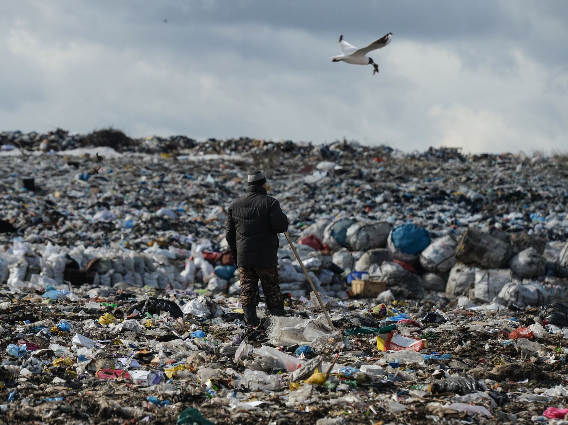 Доклад: Влияние деятельности человека на биосферу. Проблема городских отходов