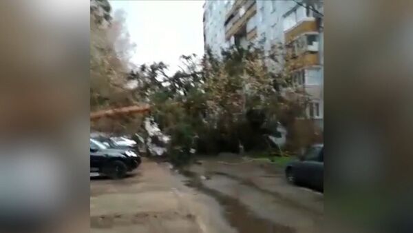 Поваленные деревья и перевернутые гаражи – последствия урагана в Москве Поваленные деревья и перевернутые гаражи – последствия урагана в Москве