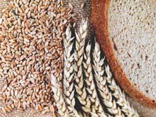 Инцидент с пшеницей не повлияет на отношения Египта с Россией - МИД