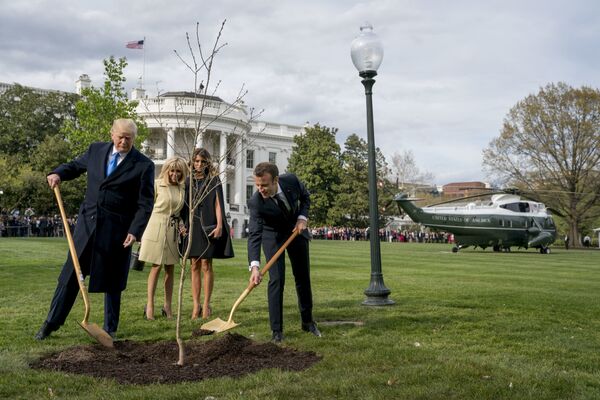 Макрон и Трамп посадили у Белого дома привезенный из Франции саженец дуба. 23 апреля 2018 Макрон и Трамп посадили у Белого дома привезенный из Франции саженец дуба. 23 апреля 2018