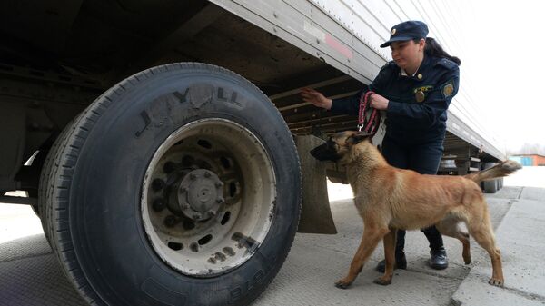 Кинолог пограничной службы с собакой во время осмотра автомобиля на пункте пропуска на российско-китайской границе