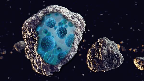 В поисках ископаемых бактерий в метеоритах