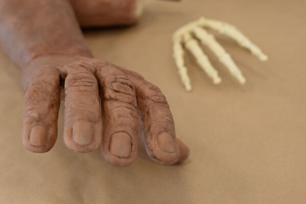 Скульптурная реконструкция руки Homo naledi