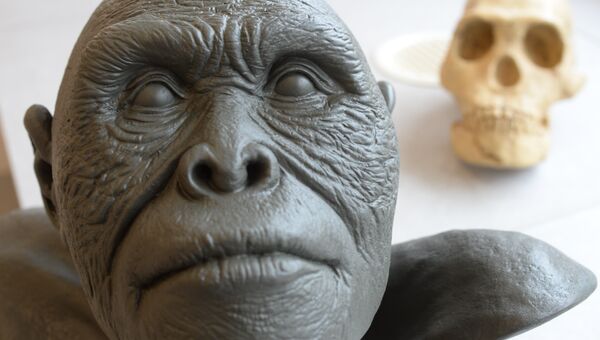 Реконструкция внешности Homo naledi (без волосянного покрова)