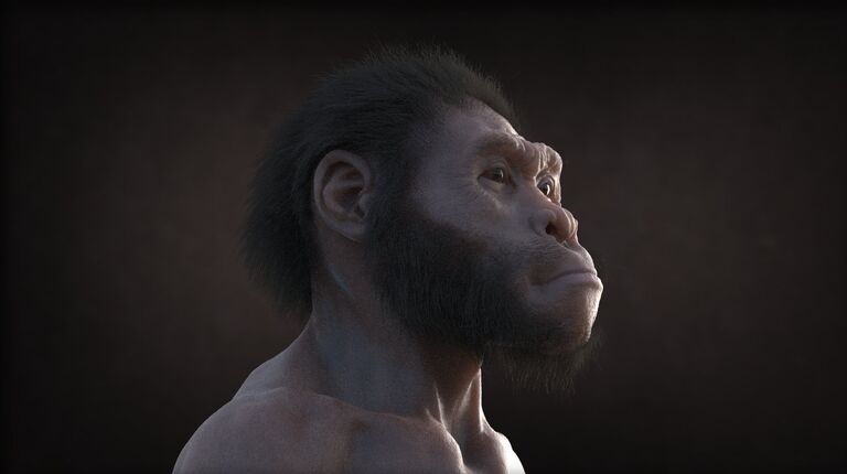 Кадр из мультфильма Homo naledi: Встреча двух миров