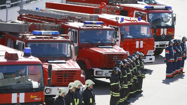 Сотрудники пожарной охраны МЧС России, архивное фото