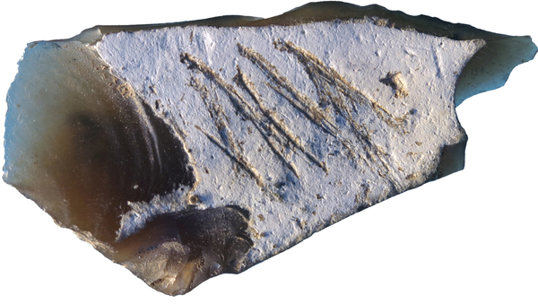 Орудие труда с подписью неандертальца, найденной в крымской пещере Киик-Коба