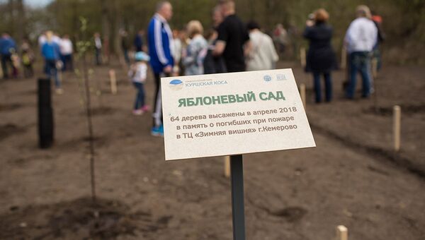 Посадка деревьев в яблоневом саду в память о жертвах трагедии в Кемерово. 30 апреля 2018