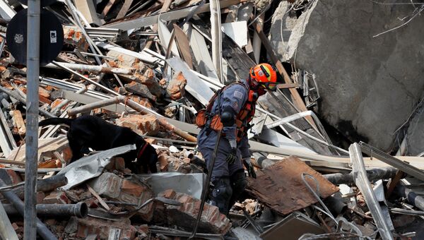 Спасатель с собакой на месте рухнувшего высотного дома в бразильском Сан-Паулу. 1 мая 2018 года