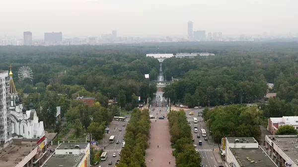Парк Сокольники