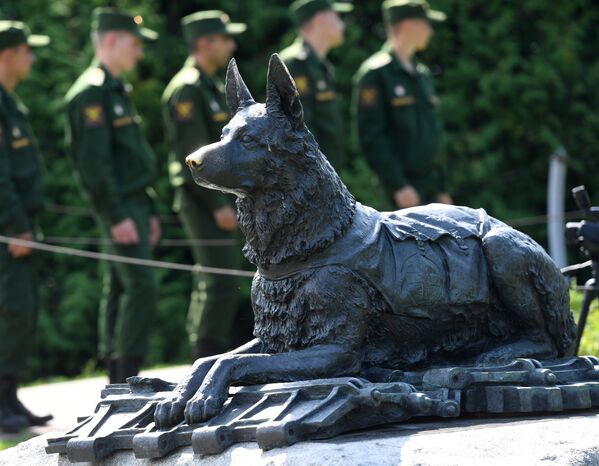 У памятника фронтовой собаке на Поклонной горе в Москве