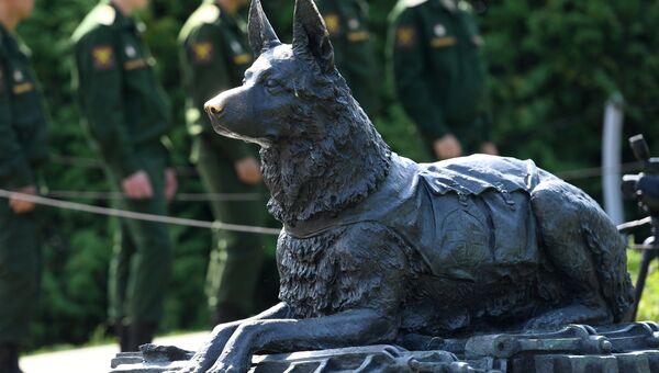 У памятника фронтовой собаке на Поклонной горе в Москве