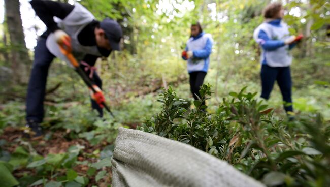 Воля и великодушие: в ЮФО выберут лучших волонтеров