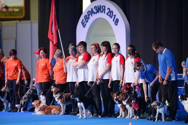 Участники выставки собак Евразия-2018в МВЦ Крокус Экспо в Москве. 5 мая 2018
