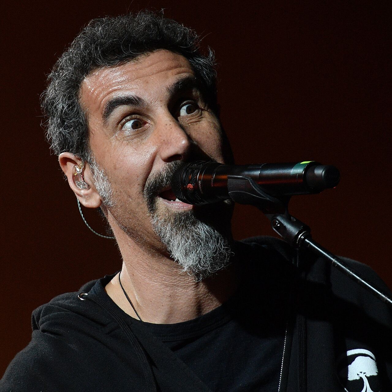  System of a Down      