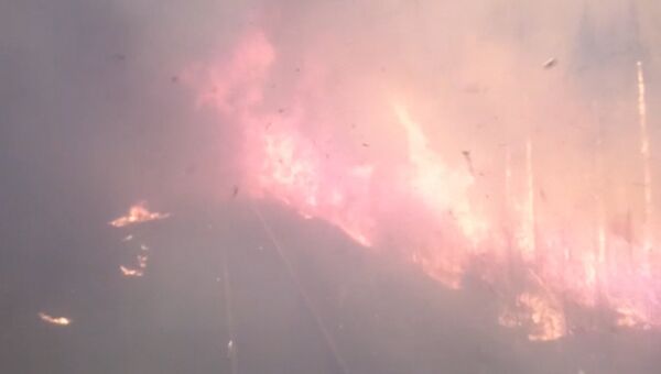 Поезд в огне: машинист снял на видео, как локомотив мчится через лесной пожар