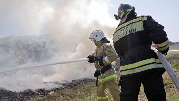 Минприроды отчиталось о ликвидации пожаров на заповедных территориях