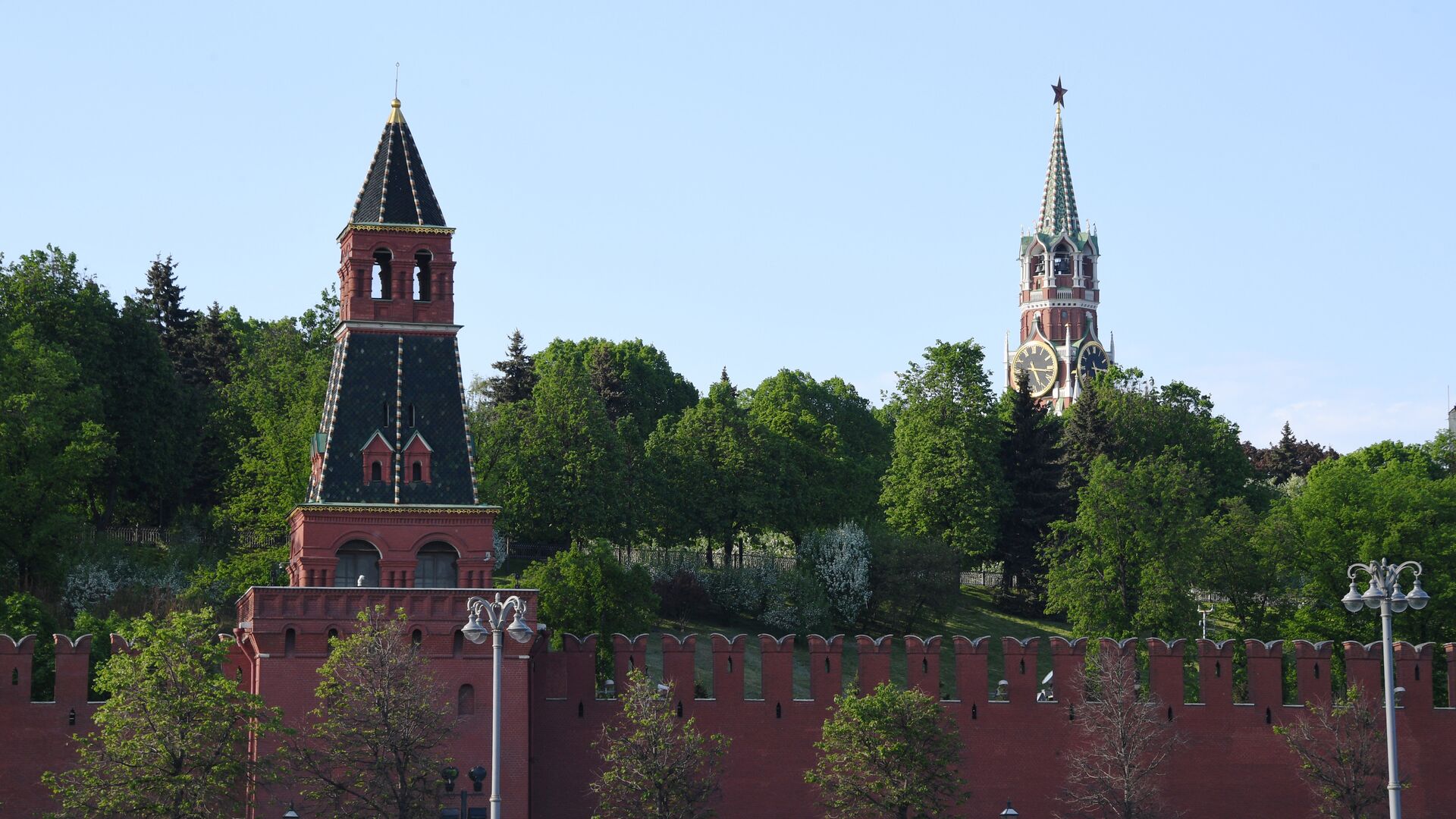 Зеленые насаждения Московского Кремля - РИА Новости, 1920, 01.06.2022