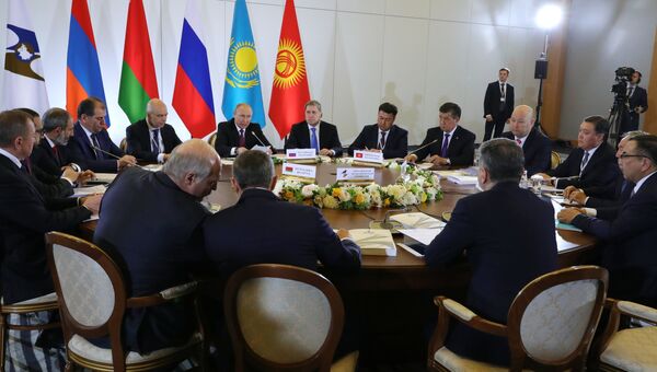 Президент России Владимир на заседании Высшего Евразийского экономического совета в Сочи. 14 мая 2018
