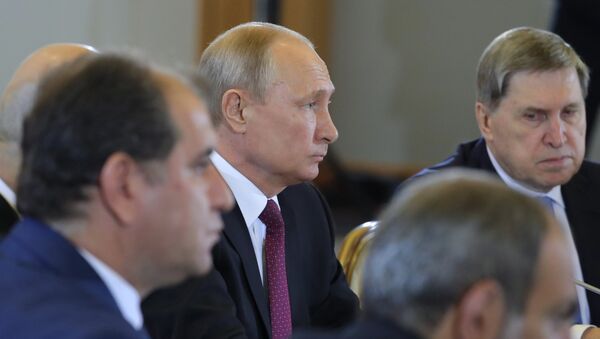 Президент России Владимир Путин во время заседания Высшего Евразийского экономического совета в Сочи. 14 мая 2018