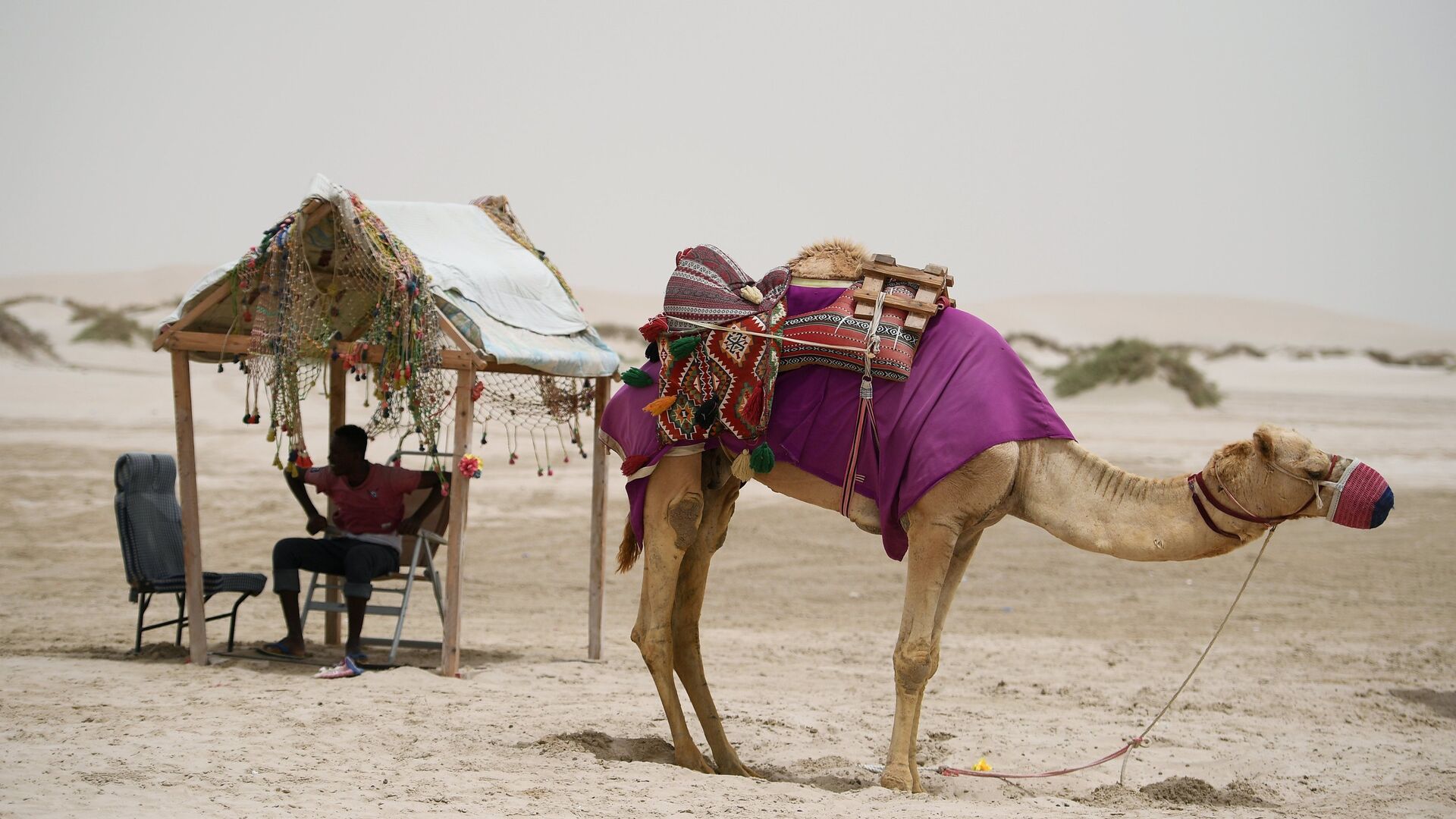Погонщик с верблюдом в пустыне Khor Al Adaid в Дохе - РИА Новости, 1920, 19.05.2023