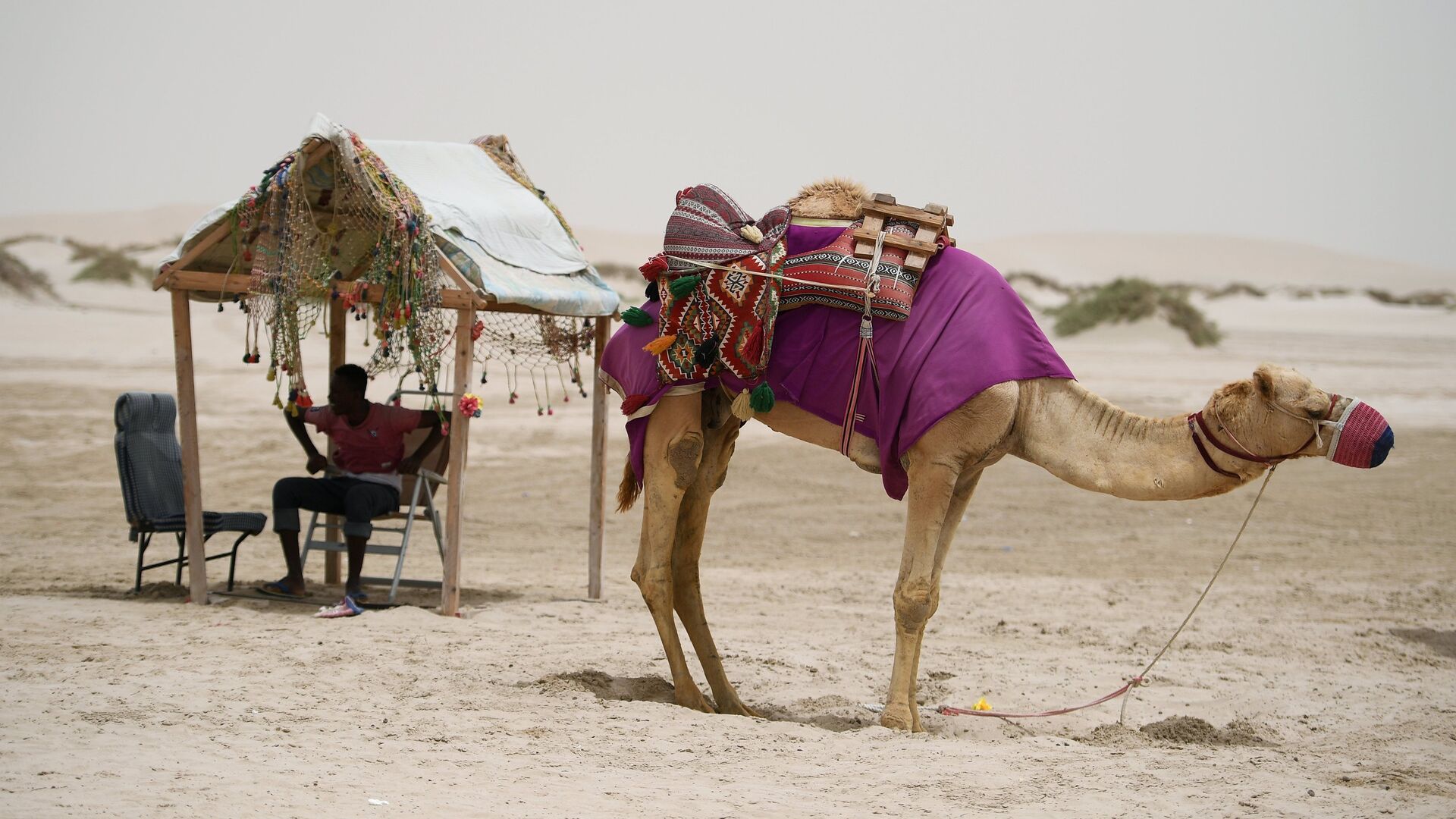 Погонщик с верблюдом в пустыне Khor Al Adaid в Дохе - РИА Новости, 1920, 19.05.2023