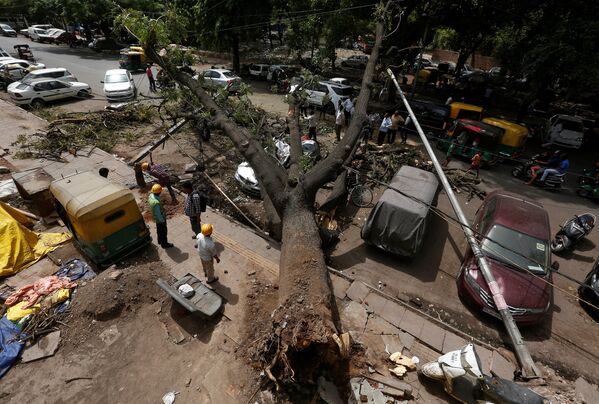 Последствие бури в Нью-Дели, Индия