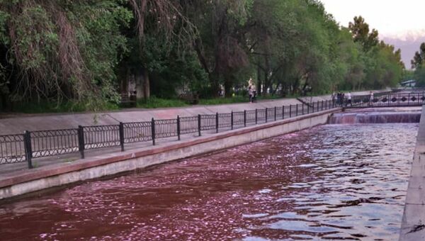 В Казахстане река Большая Алматинка окрасилась в красный цвет