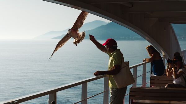 Турист кормит чайку во время круиза на теплоходе по Средиземному морю