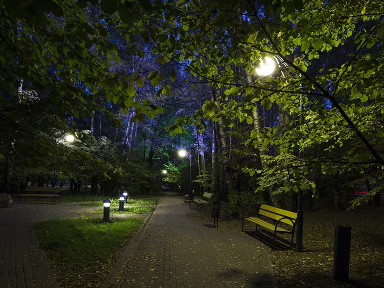 Куркино парк Куркино парк